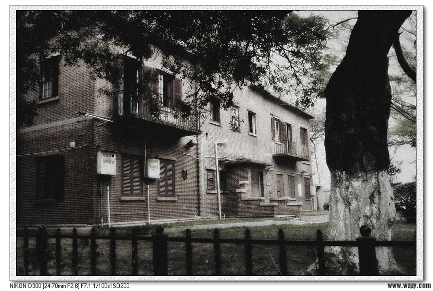 Ƭ113 163.jpg