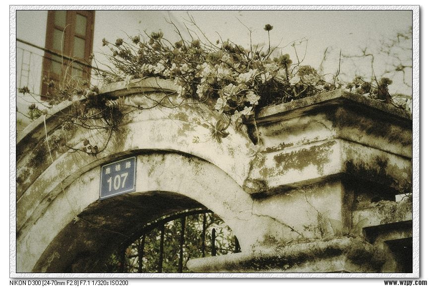Ƭ113 176.jpg