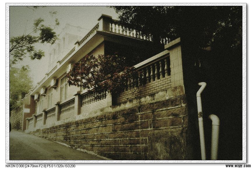 Ƭ113 203.jpg