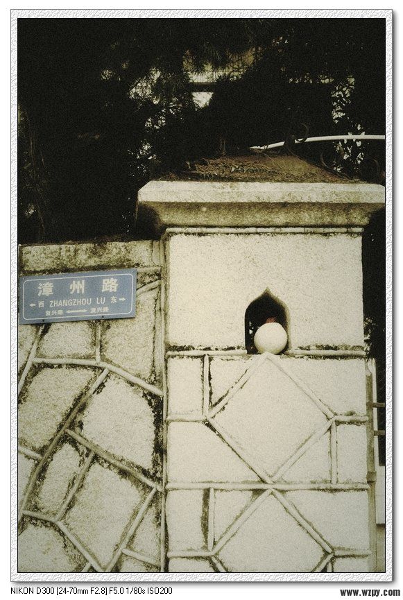 Ƭ113 220.jpg