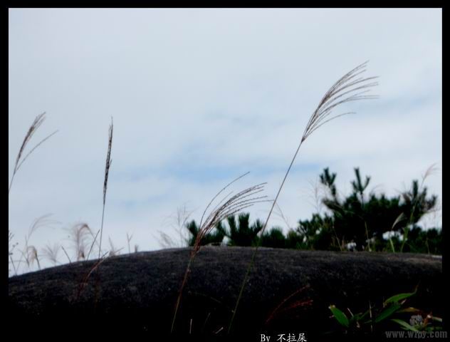 С PA010077.jpg
