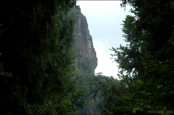 DSC_4769.JPG