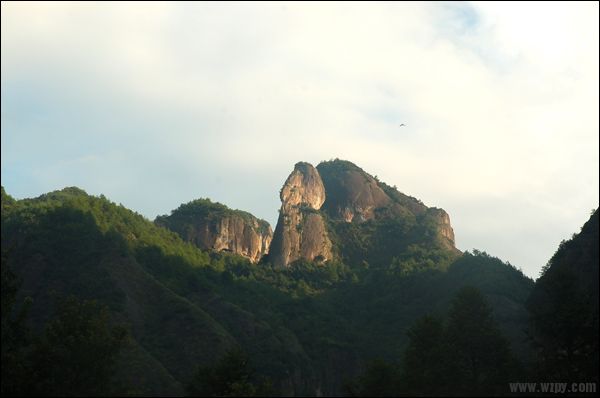 DSC_4953.JPG