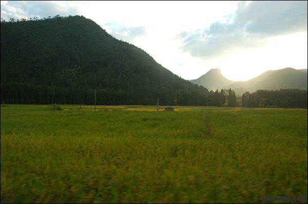 DSC_4973.JPG