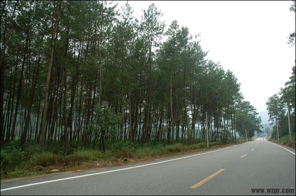 DSC_4993.JPG