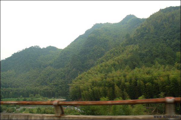 DSC_5015.JPG