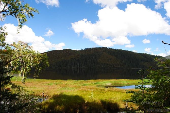 DSC_0182.jpg