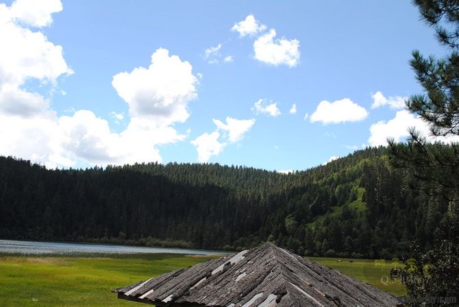 DSC_0273.jpg