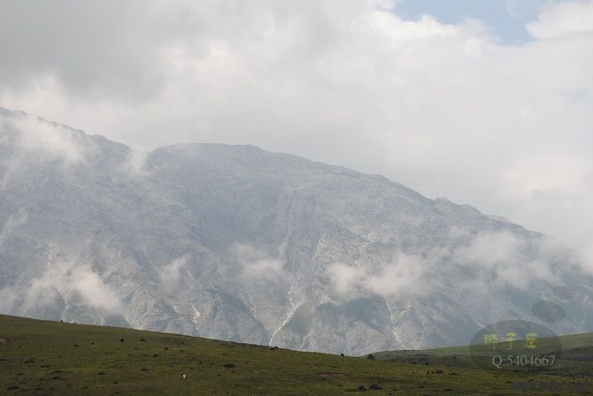 DSC_0475.jpg