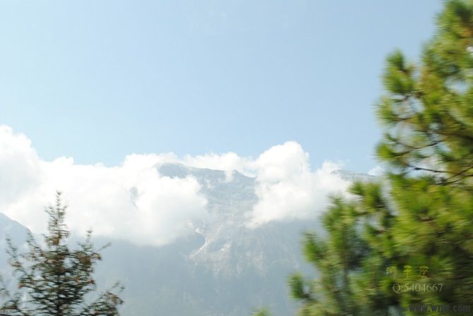 DSC_0519.jpg
