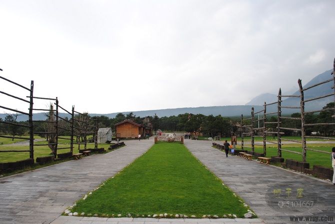 DSC_0320.jpg