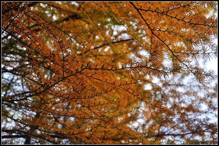 DSC_0221_nEO_IMG.jpg
