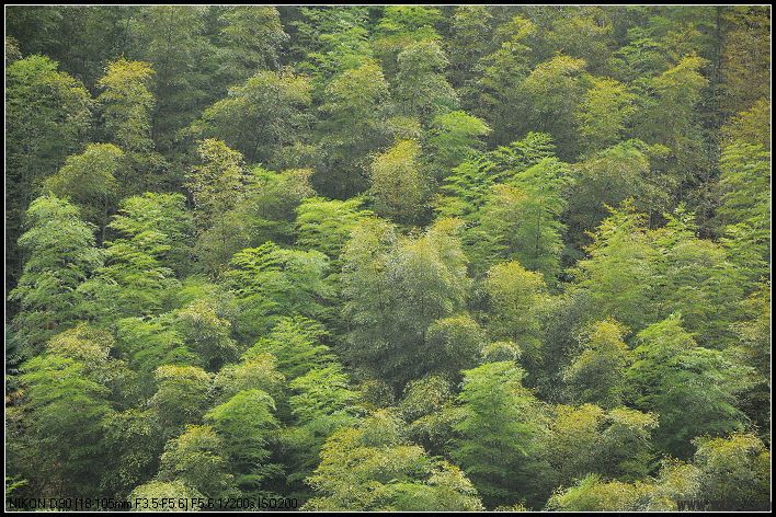 DSC_0263_nEO_IMG.jpg
