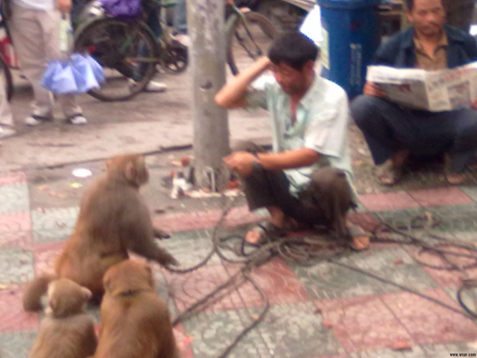 20101008083.jpg