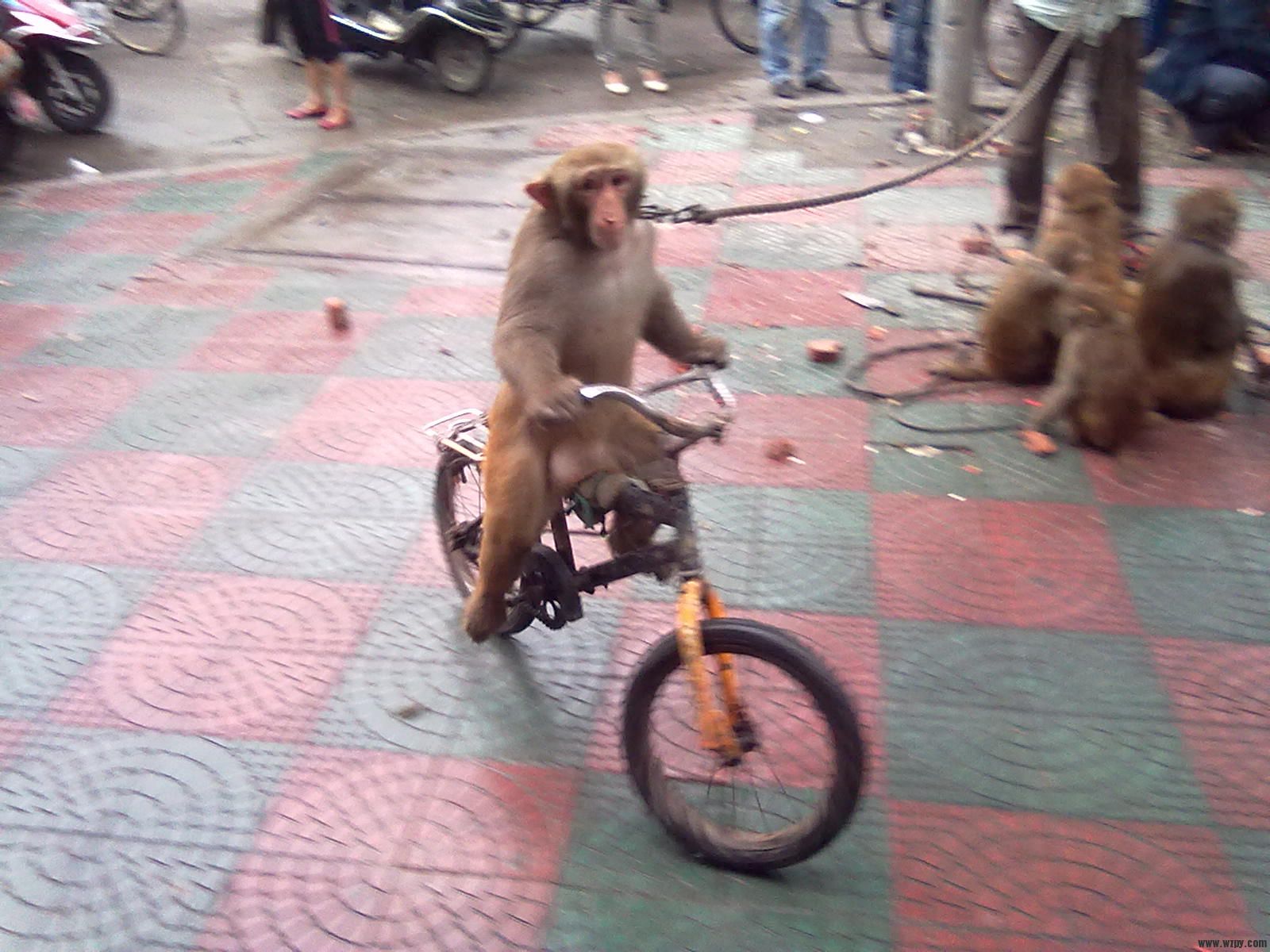 20101008077.jpg