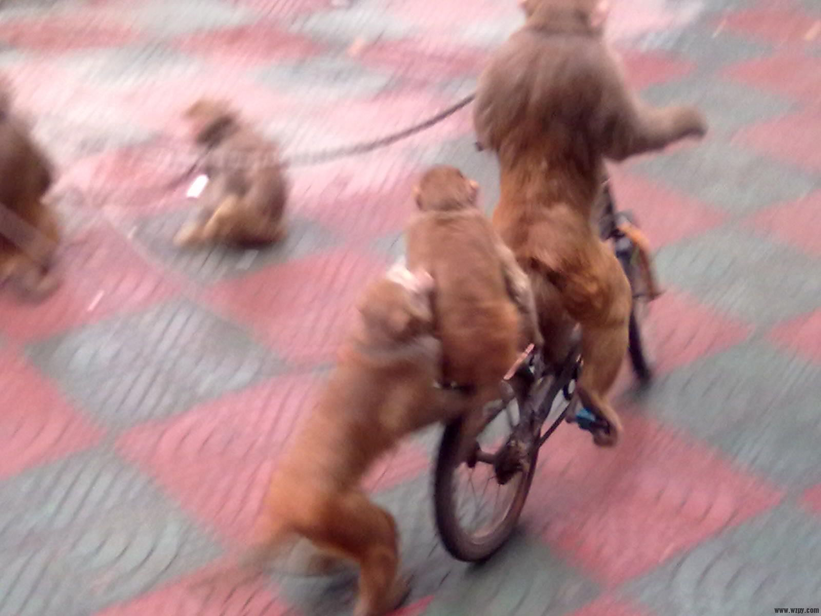 20101008079.jpg