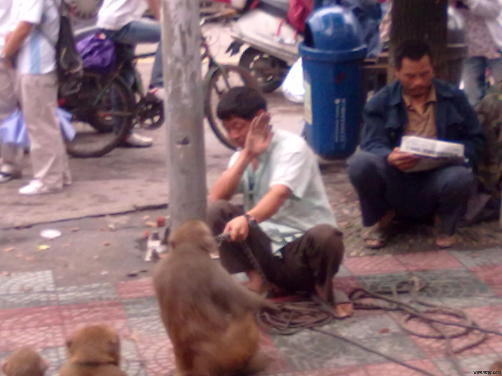 20101008082.jpg