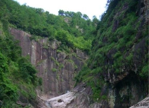 20090511101106.jpg