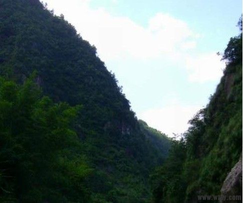 20090511101239.jpg
