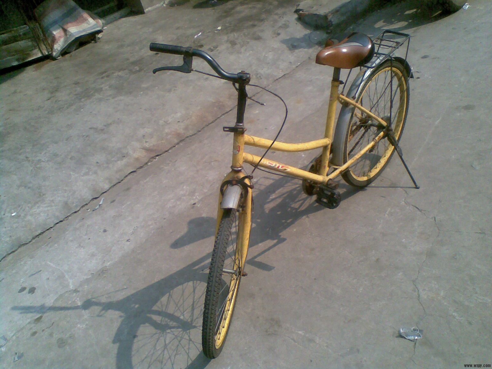 20101103(002).jpg