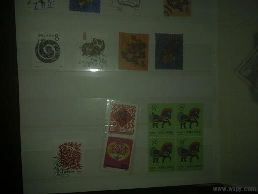 20101112538.JPG