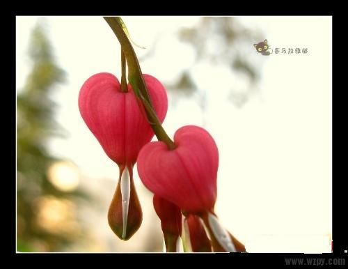 jiangsu9feb6919b4aa60f6.jpg