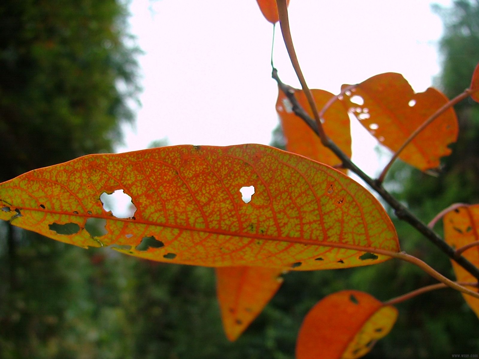 DSCF9859.JPG