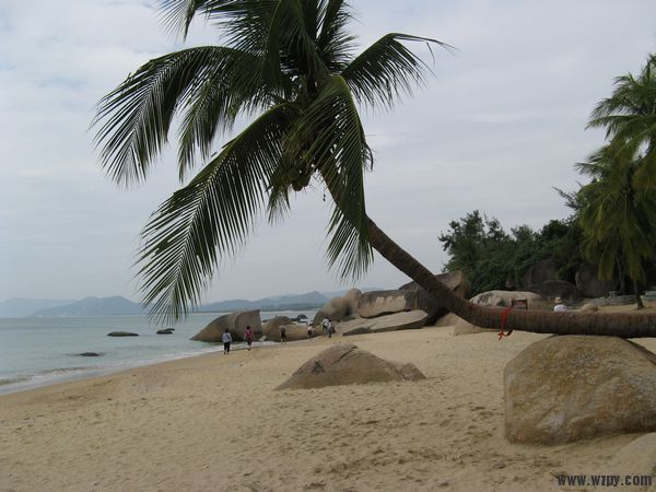 IMG_4602.JPG