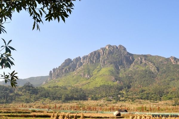 DSC_0717.jpg