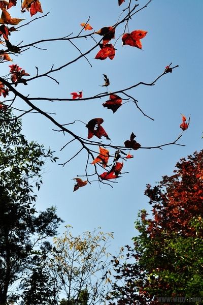 DSC_08.jpg