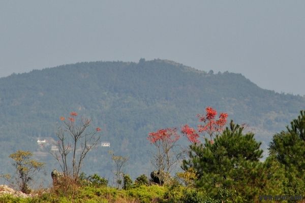 DSC_010.jpg