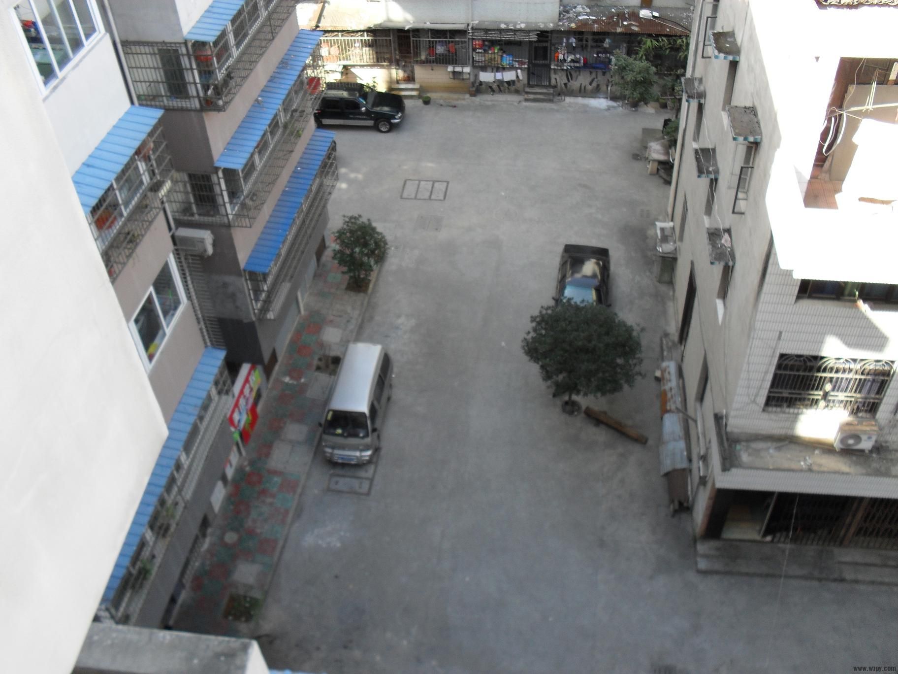 SDC11590.JPG