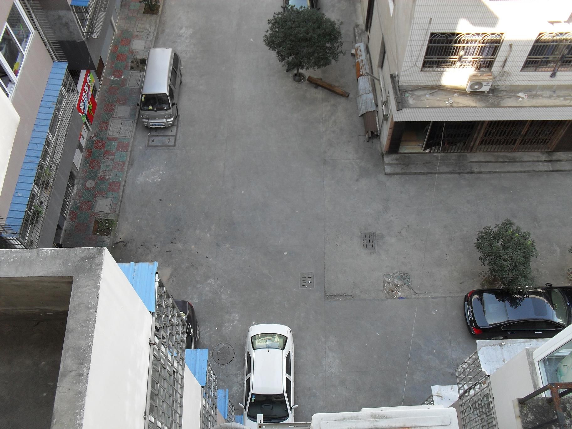 SDC11589.JPG
