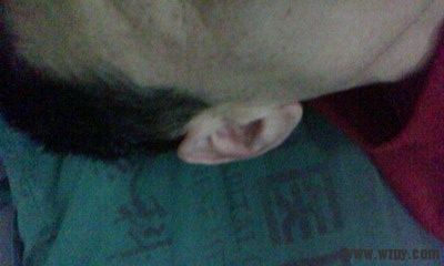 IMG0026A.jpg