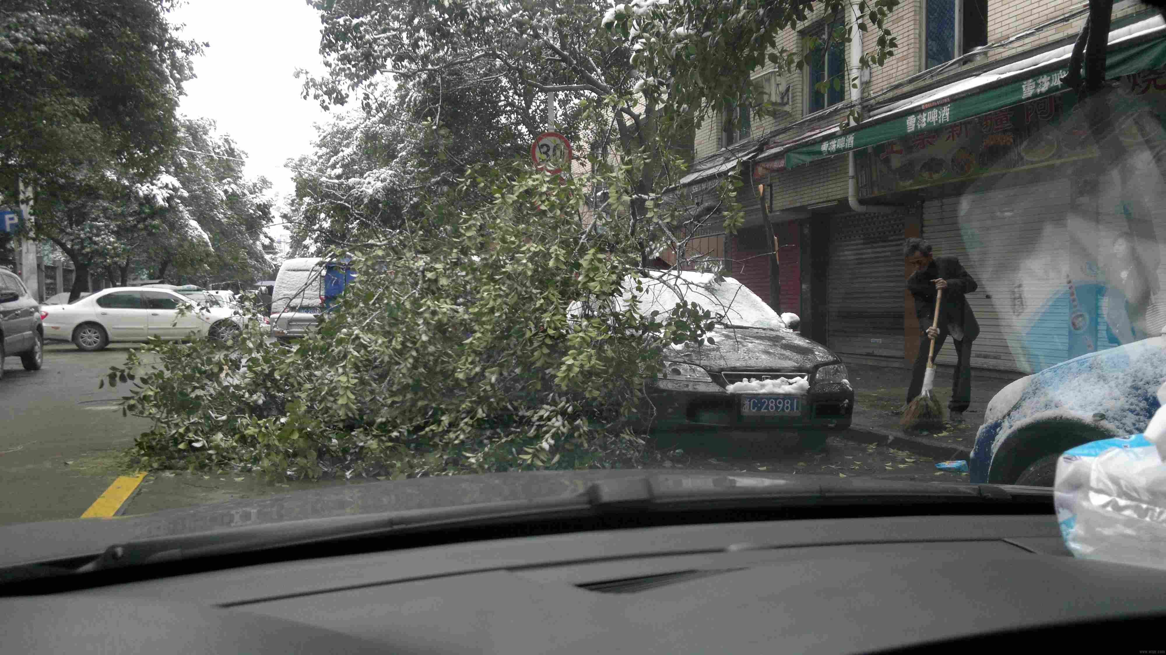 20101216055.jpg