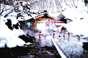 20092247808387395[1].jpg