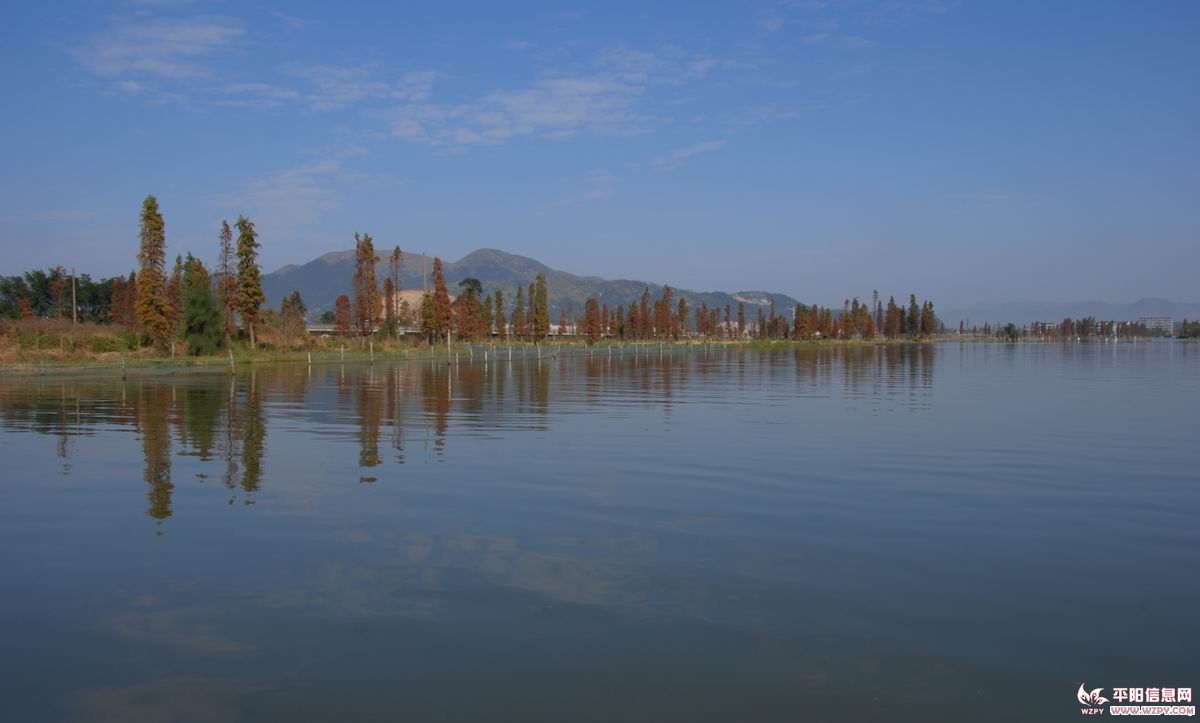 DSC_0277.JPG