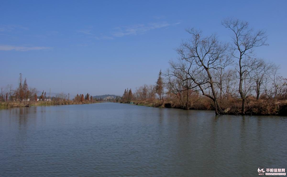 DSC_0358.JPG