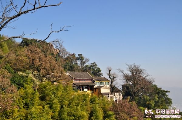 DSC_47.jpg