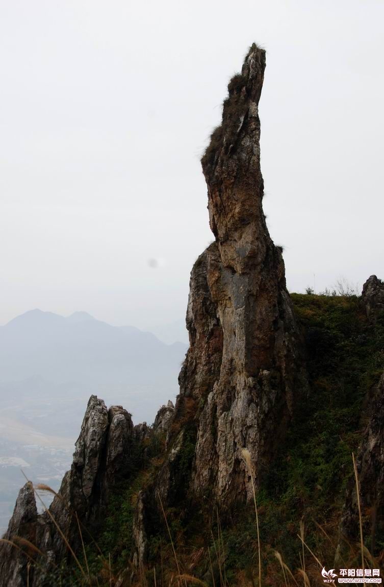 DSC_0060.JPG