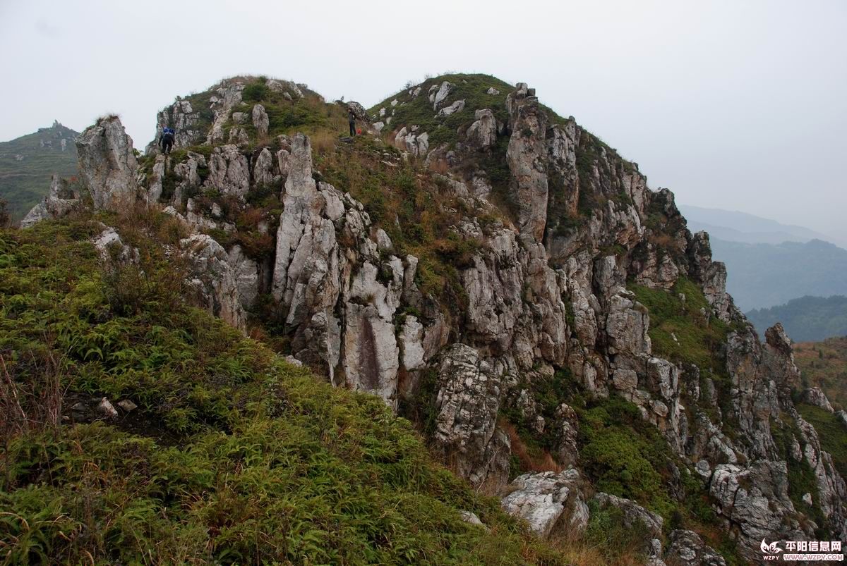 DSC_0092.JPG