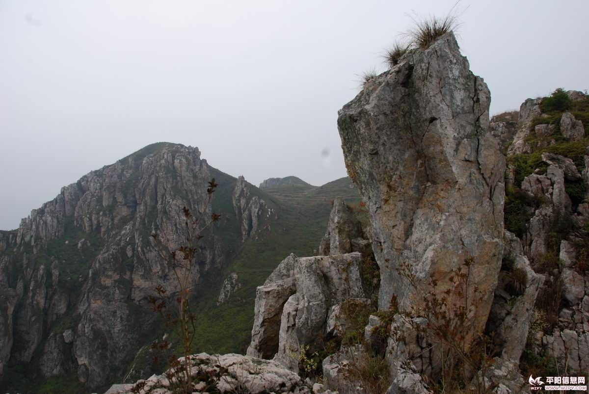 DSC_0095.JPG