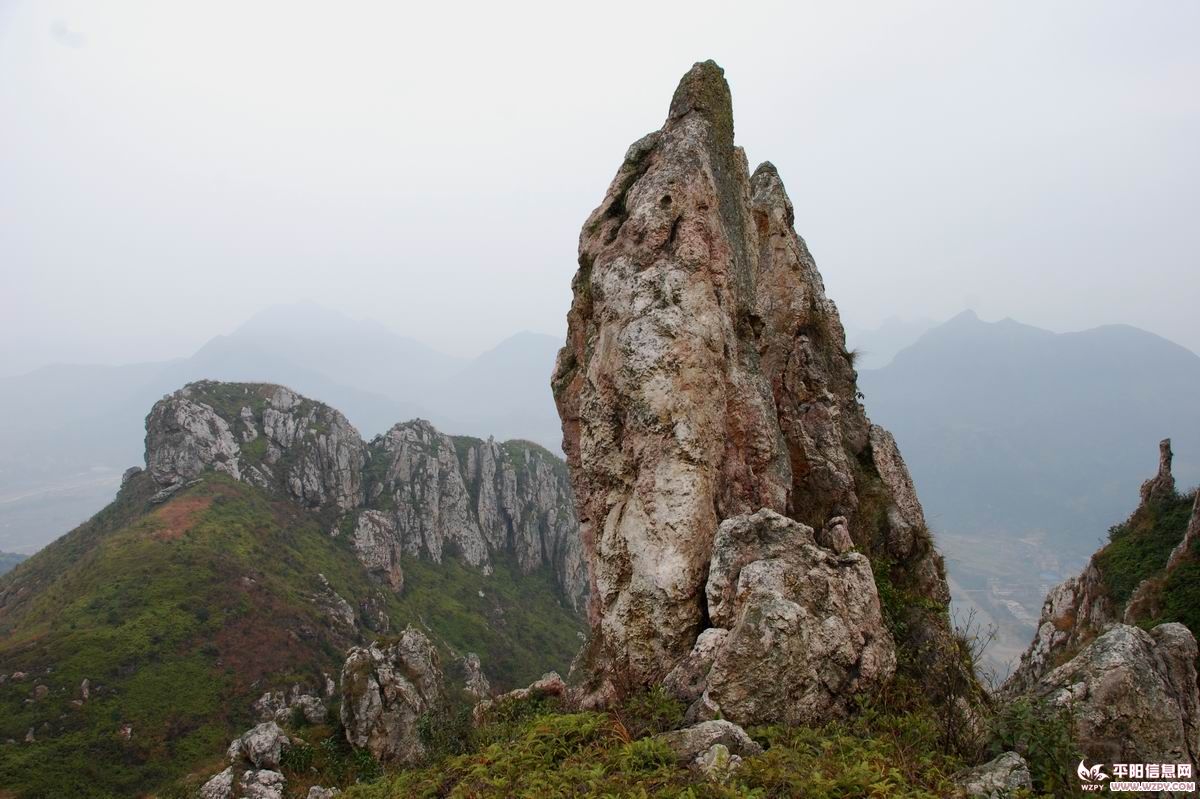 DSC_0127.JPG