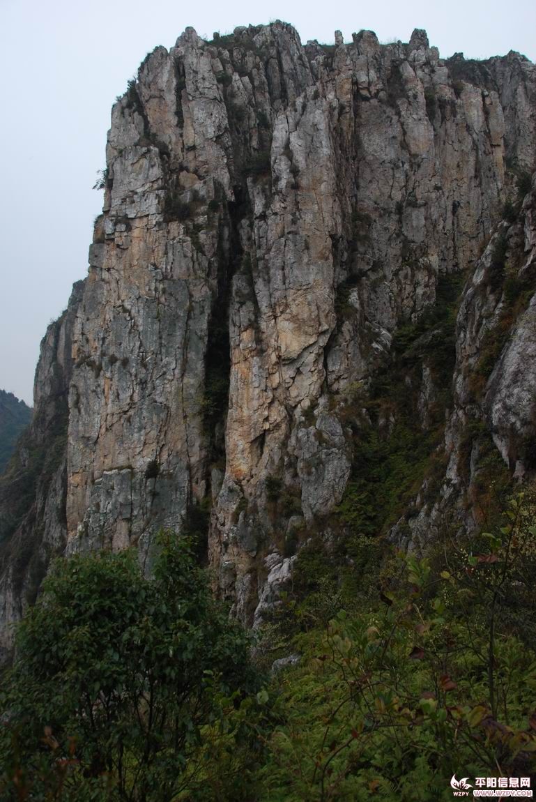 DSC_0182.JPG