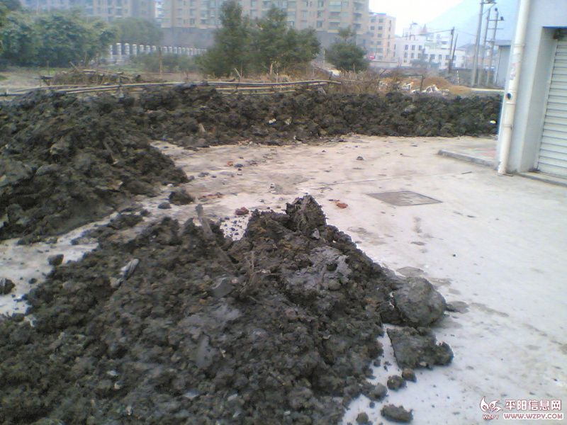 20110111(002)_С.jpg