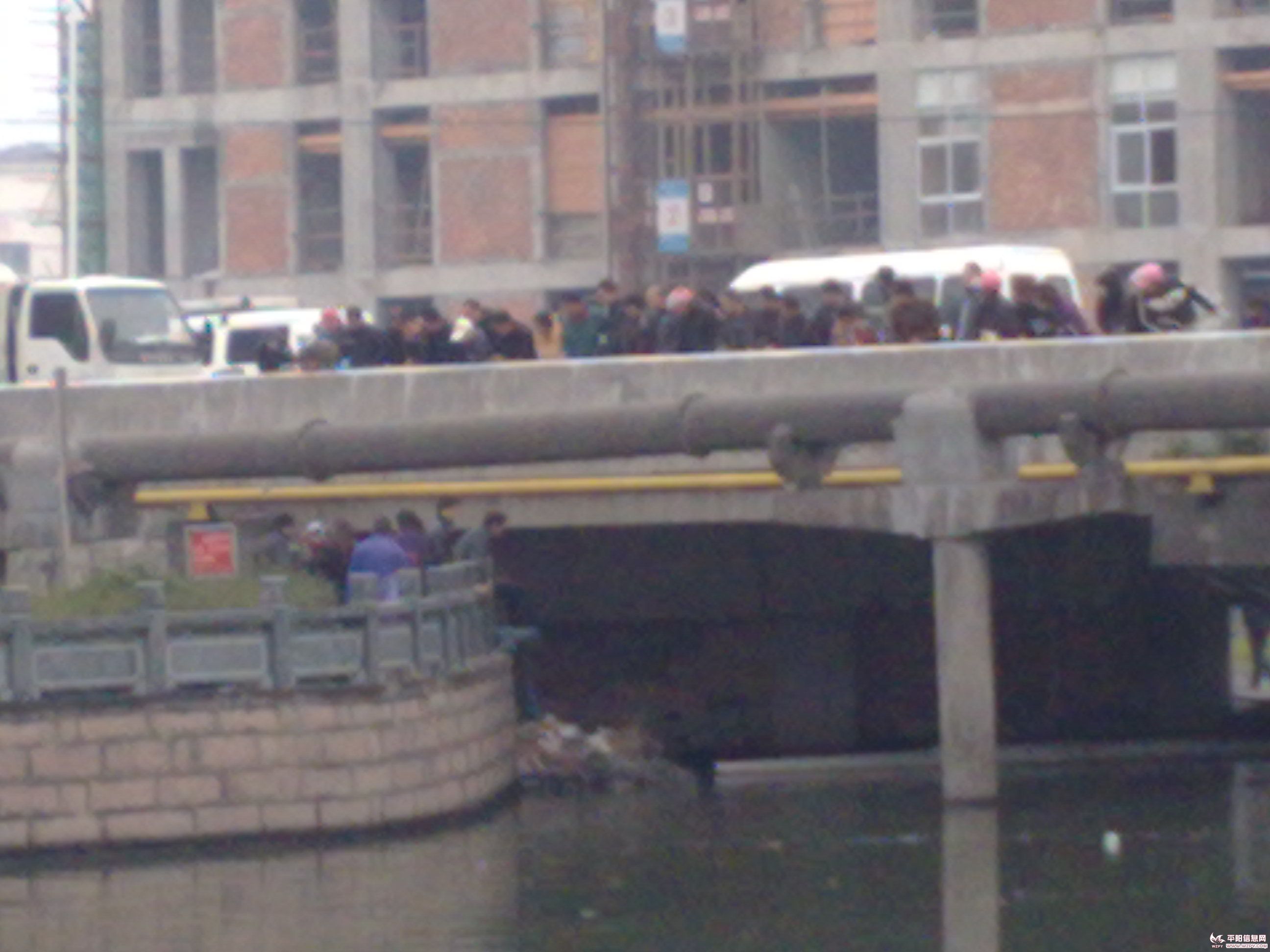 20110114810.jpg