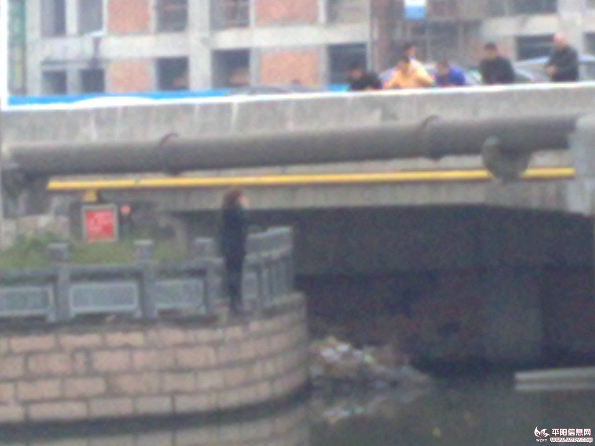 20110114806.jpg