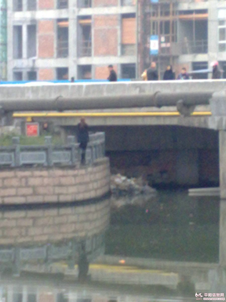 20110114807.jpg