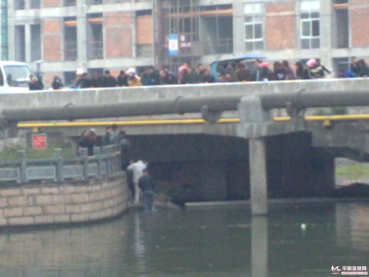 20110114809.jpg