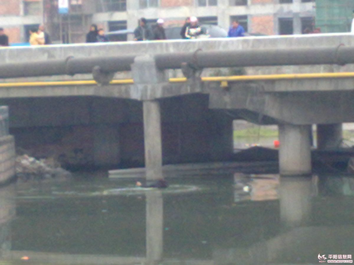 20110114808.jpg